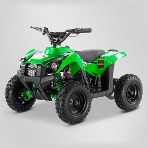 Квадроцикл ATV Apollo RFZ E-King Kong 1000W